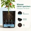 Tomatentopf mit Rankhilfe, 1 Stück 140 cm Selbstbewässerung Produktbild-Vorschau 4