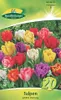 Artikelbild 2 von 'Tulpen Gefüllte Mischung (20 Stück)' aus der Kategorie Tulpenzwiebeln Produktbild-Vorschau