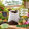 Samenshop24® 60L Anzuchterde (3 Säcke á 20ltr) Pikiererde, Produktbild-Vorschau 7