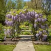 Treillis pour plantes grimpantes Relaxdays, support Voir les images du produit 3