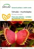 SAFLAX - Venuša - mucholapka - Dionaea muscipula - 10 Náhľad obrázku produktu 1