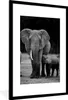 MuchoWow® Gerahmtes Poster Baby-Elefant wird von seiner Produktbild-Vorschau 1