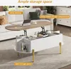 MODFU Table Basse avec Rangement - Table de Salon Moderne Voir les images du produit 4