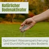 Rasenkalk Herbst 20 Kg 400m² Moosvernichter Rasen Rasenkalk Produktbild-Vorschau 4