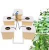 A hydroponic growing system with multiple containers and tubing, set against a white background with a blurred image of plants on the right. Produktbild-Vorschau