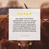 MuchoWow® - Leinwandbilder - Schottische Highlander - Tiere Produktbild-Vorschau 8