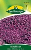 Blaukissen, Rosa-rot Produktbild-Vorschau 1