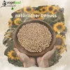 Hands holding a bowl of birdseed with sunflowers in the background. Produktbild-Vorschau