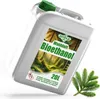 Bioethanol 96,6% 20L |  Alkohol Waldduft 96,6% 20L | Produktbild-Vorschau 1