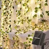 Bigzom Solar Lichterkette Aussen, 120LED Efeu 12M Außen 8 Produktbild-Vorschau 1