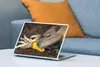 MuchoWow® Laptop Aufkleber Sticker Cover Eine Nahaufnahme Produktbild-Vorschau 4