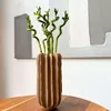 Dracena - 6 szt - Dracaena sanderiana - Wysokość 40-50cm - Podgląd zdjęcia produktu 5