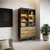 Vysoká vitrína DEMOPOLIS - dub evoke / čierna + LED Náhľad obrázku produktu 3