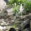 Sitzende Fee Gartendeko Figuren Gartenfiguren für Außen, Produktbild-Vorschau 4
