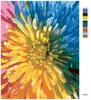 Zuty - Malen nach Zahlen - REGENBOGENBLUME, 40x50 cm, mit Produktbild-Vorschau 3