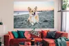 MuchoWow® Poster Hund am Strand 180x120 cm - Fotoplakat Produktbild-Vorschau 3