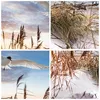 Bilder auf glas - Einteilig - Möwe Meer Küste - 30x30cm - Produktbild-Vorschau 8