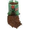 Palline di argilla espansa EUROPALMS, marrone (83011005) Anteprima dell’immagine prodotto 3