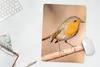 MuchoWow® Mauspad Mousepad Vogel - Zweig - Rotkehlchen Produktbild-Vorschau 5