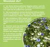 GreatVita Schwarzkümmelöl, 2x500ml Glas Produktbild-Vorschau 5