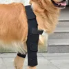 1 Stück atmungsaktive Ellenbogenbandage für Hunde aus Produktbild-Vorschau 2