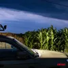 A car parked next to a cornfield at dusk. Anteprima dell’immagine prodotto