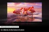 A television screen displaying a flock of flamingos in water at sunset, with marketing text below. Produktbild-Vorschau