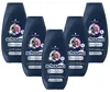 Schauma Pflege Shampoo Silberglanz Anti Gelbstich 250ml 5er Produktbild-Vorschau 1