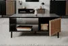 CALICOSY - Couchtisch mit 1 Tür Schwarz und Holz L110,5 cm Produktbild-Vorschau 11