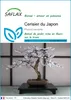 SAFLAX  - Cerisier du Japon - 30 graines - Prunus Voir les images du produit 1