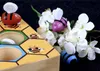 Honigwaben-Sortierspiel Fleißige Bienen Produktbild-Vorschau 7