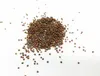 A pile of small, dark seeds scattered on a white surface. Náhľad obrázku produktu