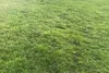 Herbe hybride pour tondeuse Husqvarna 1x1M 598896001 Voir les images du produit 2