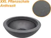 mucHome XXL Pflanzschale Anthrazit Ø 52cm Höhe ca. 20 cm - Produktbild-Vorschau 7