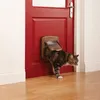 PetSafe Cat Flap 4-Way Magnetic Deluxe 420 Brown Náhled obrázku produktu 7