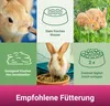 PANTO Zwergkaninchenfutter 5 x 1kg - Mit Pellets & Körnern Produktbild-Vorschau 4