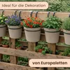 Hängender Blumentopf 5er Set Hängeblumentopf Hänge Produktbild-Vorschau 3