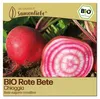 Samenliebe  Rote Bete Samen alte Sorte Chioggia süße feine Produktbild-Vorschau 7