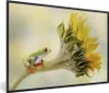 MuchoWow® MuchoWow® Gerahmtes Poster Sonnenblume - Tier - Produktbild-Vorschau 1