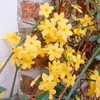 Bloomique - Lot de 2 - Jasminum Nudiflorum - Jasmin d'hiver Voir les images du produit 4