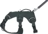Ruffwear Hundegeschirr Web Master Harness Basalt Gray, Produktbild-Vorschau 6