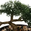 Plante décorative artificielle BONSAI, 23 cm Voir les images du produit 3
