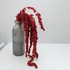 Stabilisiertes Amaranth Ball - Amaranth - Rot Produktbild-Vorschau 2