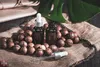 PURE CHEMICAL | olio di macadamia | olio naturale | noci di Anteprima dell’immagine prodotto 9
