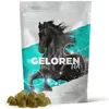 GELOREN Paarden - Gewrichtssupplement voor paarden - 450g Productafbeelding-voorbeeld 7