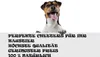 5KG Getrocknete Rinderlunge, Kauartikel Hundesnack Produktbild-Vorschau 5