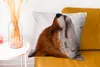 MuchoWow® Zierkissen Sofakissen Wohnzimmer Dekokissen 50x50 Produktbild-Vorschau 6