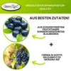 Balsamico Creme Blaubeer 0,26L 3% Säure Mit original Crema Produktbild-Vorschau 3
