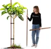 KADAX Holzstäbe 150 cm x 23 mm, 10er Set, Pflanzstäbe aus Produktbild-Vorschau 5