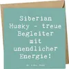 Mr. & Mrs. Panda Glückwunschkarte Spruch Siberian Husky Produktbild-Vorschau 1